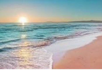 Obituario de Anne Stanley Williamson