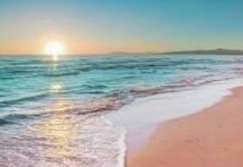 Obituario de Anne Stanley Williamson