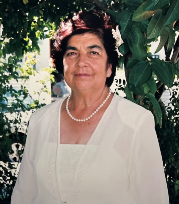 Obituary of Teresa Castellanos Maldonado