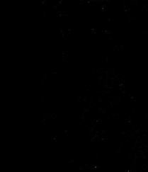 Paula Radden-Levich Obituary - Aurora, CO