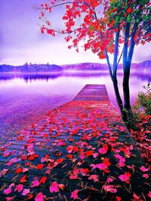 Obituary of Mildred Lorraine Logan