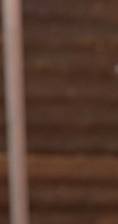 Angel F. Renteria Obituary - Austin, TX