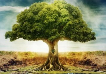 Obituario de August Leonard Darata