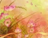 Avis de décès de Dorothy Jean Hagler