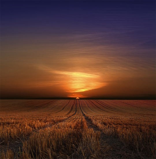 Obituary of Neil Frank Micelotta