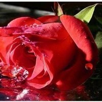 Obituary of Michael Sherman Thrailkill