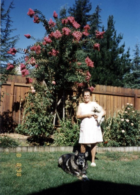 Joanne Revello Obituary Fair Oaks Ca