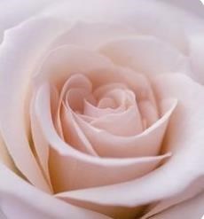 Obituary of Victoria E. Richmond