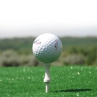 Obituary of Alvin Puetz