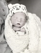 Obituary of Dietrich Ivan Fritsch