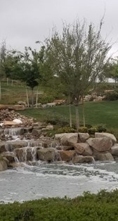 Avis de décès de Rose A Evans