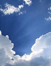 Obituary of Megan Anne Haines