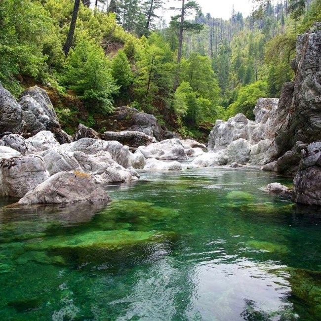 Obituary of Stephen Carl Meyer