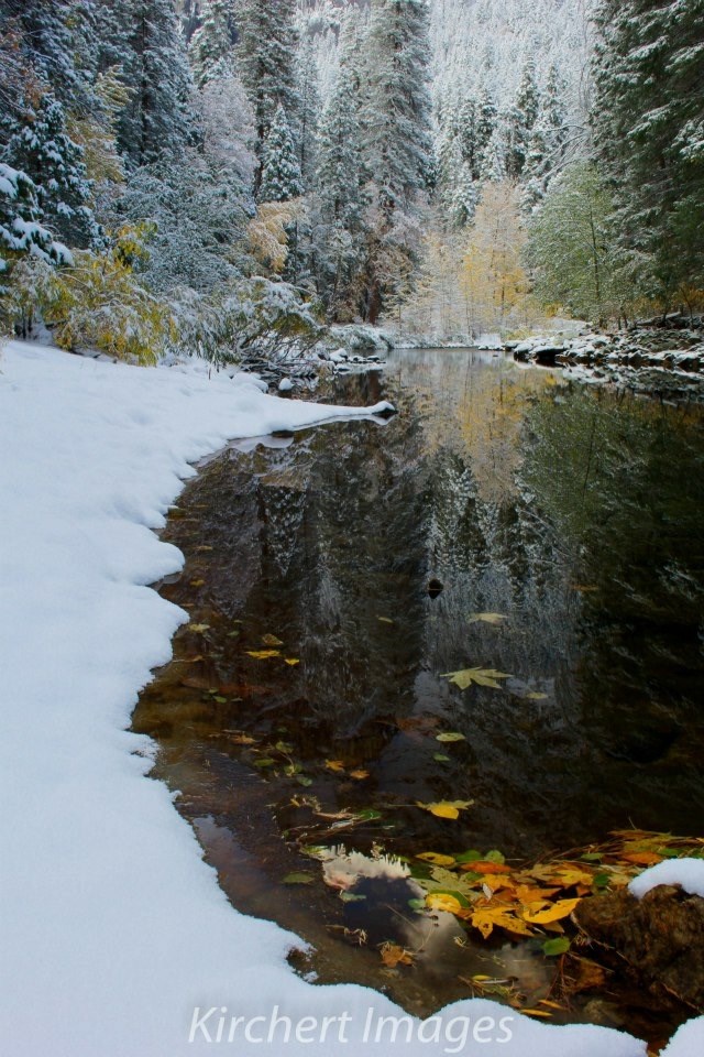 Obituary of Elva Lewis Campbell