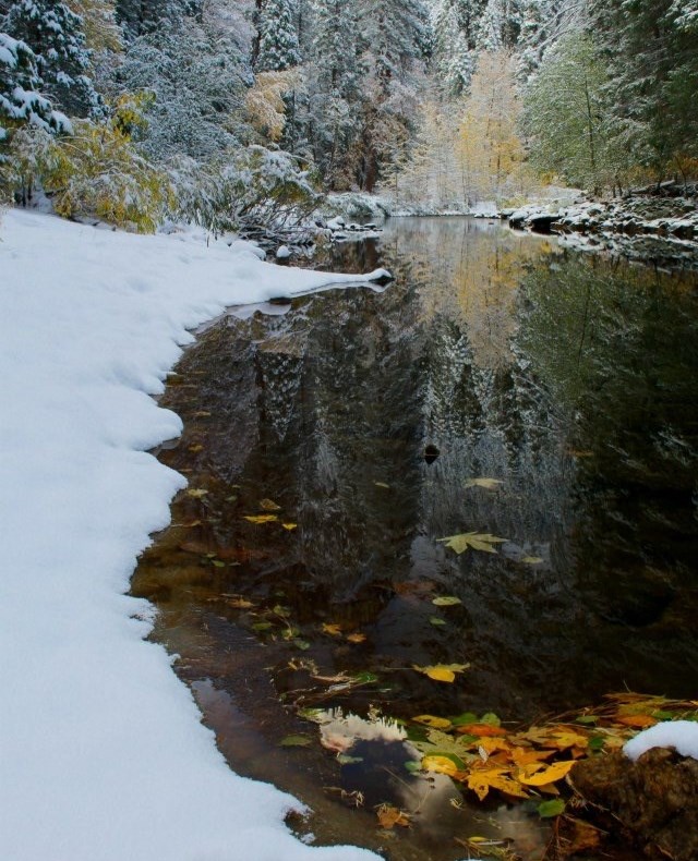 Elva Campbell Obituary Red Bluff, CA