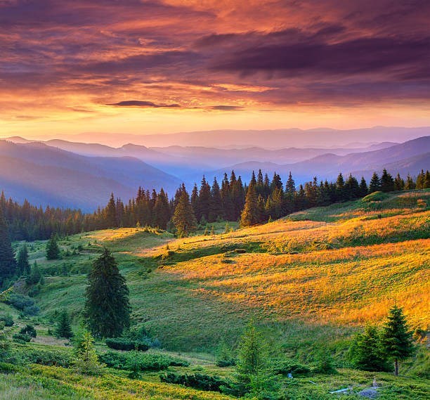 Avis de décès de Janet Peregrine Booth