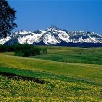 Obituary of Mary Ann Jensen