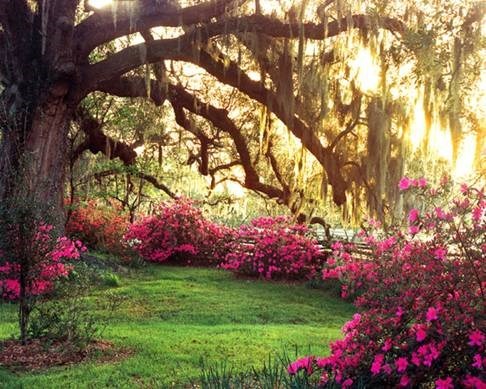 Obituary of Gisela K. Wilms