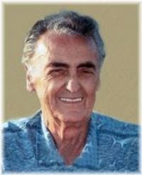 Obituary of Leo Arini