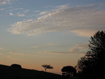 Obituary of Arthur Statzer