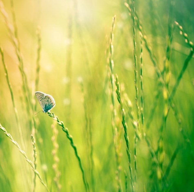 Obituary of June Margaret Sherwood