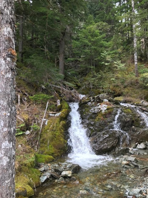 Avis de décès de Charles Patrick Johnston