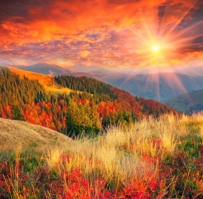 Obituary of Miako Liwis