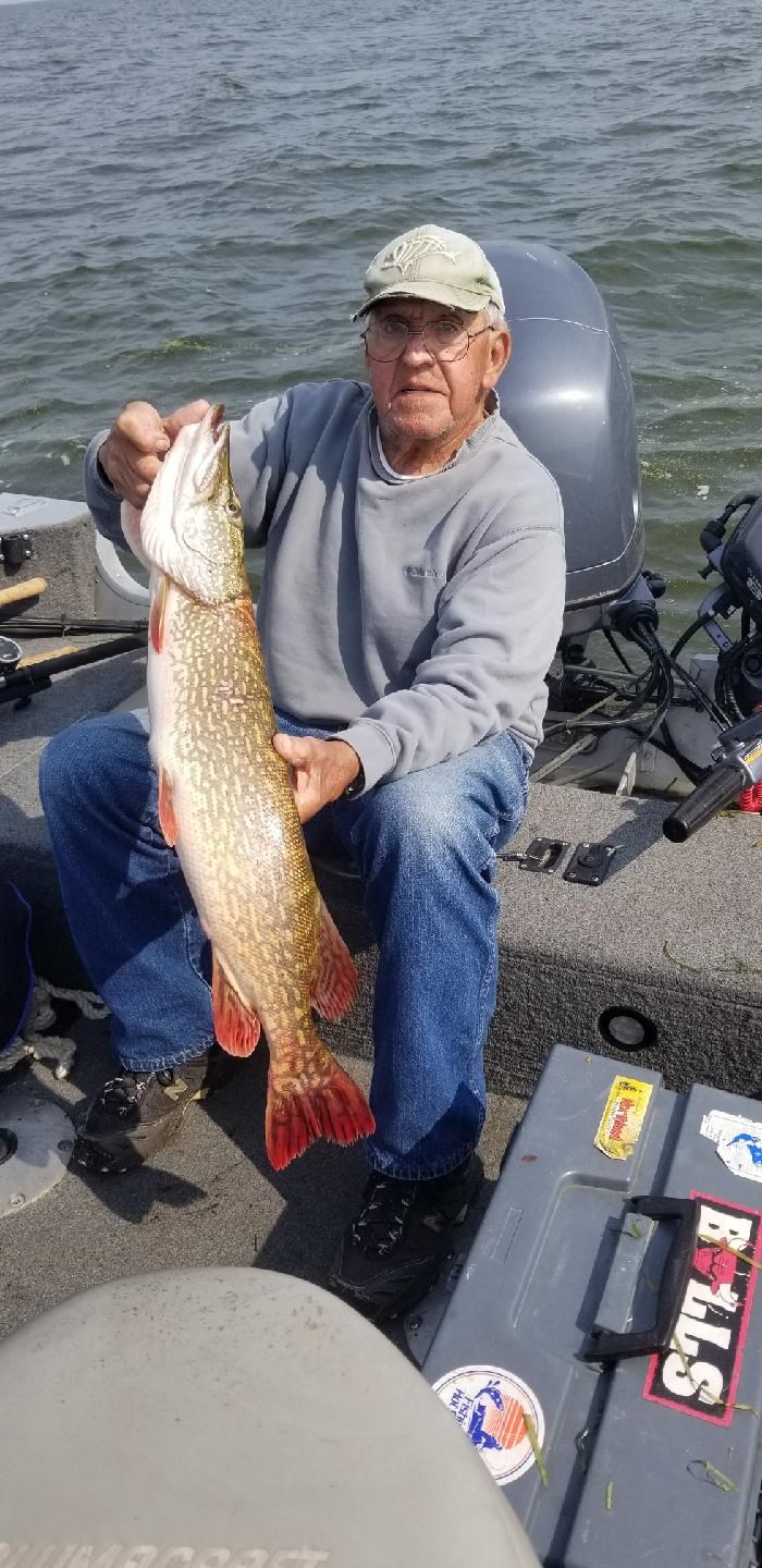 Obituario de Herbert Warren Hauser