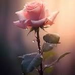 Avis de décès de Jacqueline Lillian LaBrie