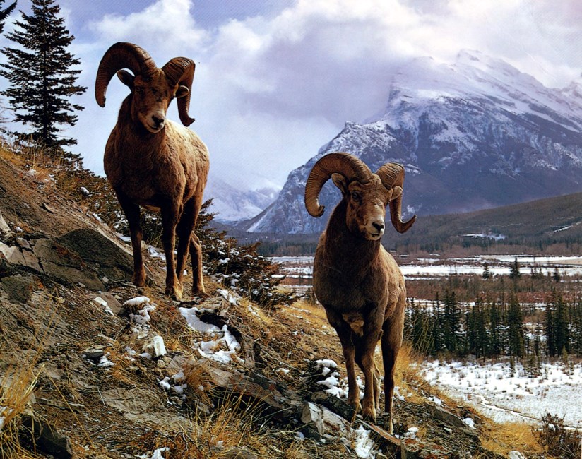 Avis de décès de James Dell Potter