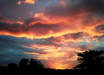 Obituary of Alvin David Adair