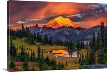 Obituary of Elizabeth Ann Armstrong