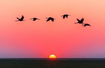 Obituary of Anastasia - Maureen Garcia Randall