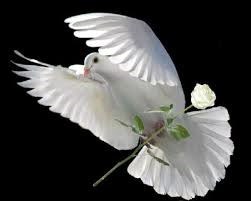 Obituary of Donna Jean La Duke