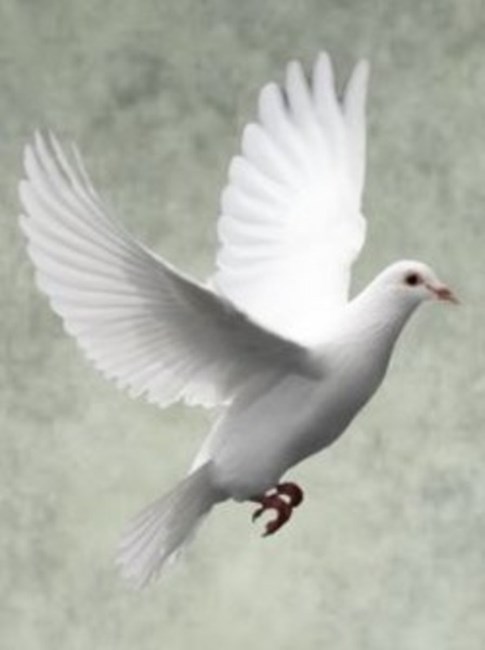 Obituary of Alvin 'Al' Voth