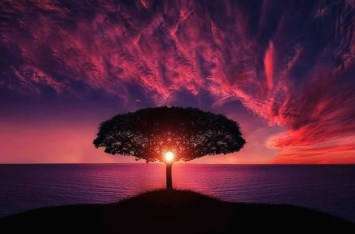 Obituary of Jackie Lee Sparlin