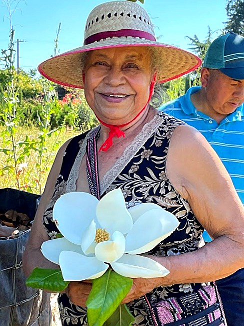 Obituary of Esperanza Romero-Tellez