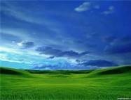 Obituary of Lucille M. Fox