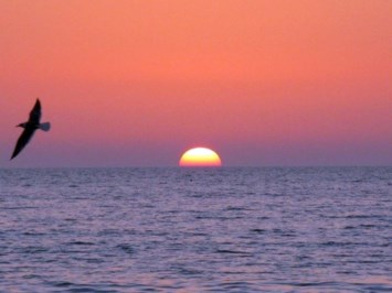 Obituary of Clifford R Mack