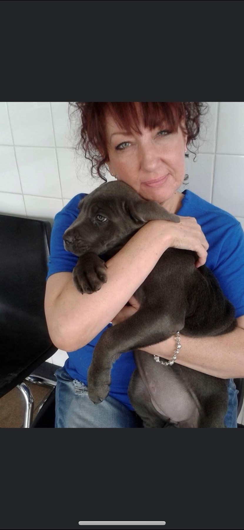 Obituary of Desiree Lynn Bolognone