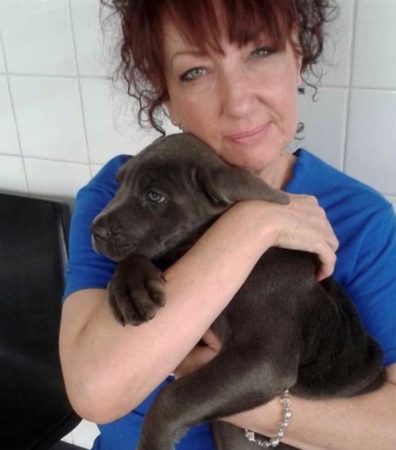 Obituary of Desiree Lynn Bolognone