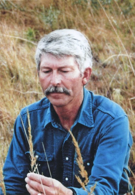 Obituary of Roy Don Welch