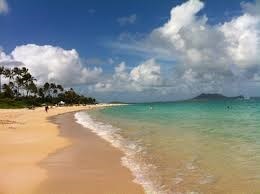 Obituary of David William Albright