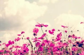 Obituary of Yvonna Louise Ascencio