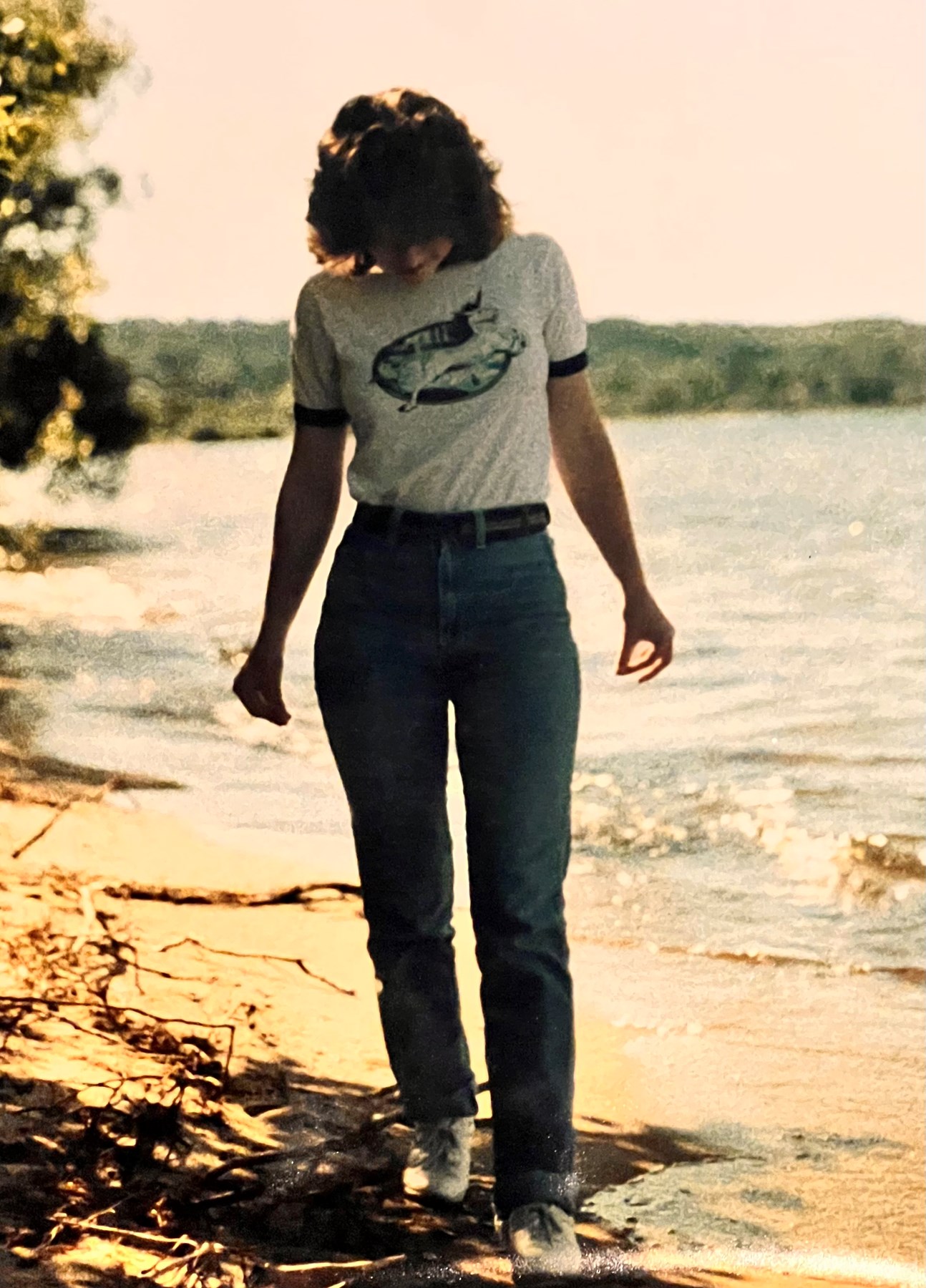 Obituary of Cheryl Ann Walker