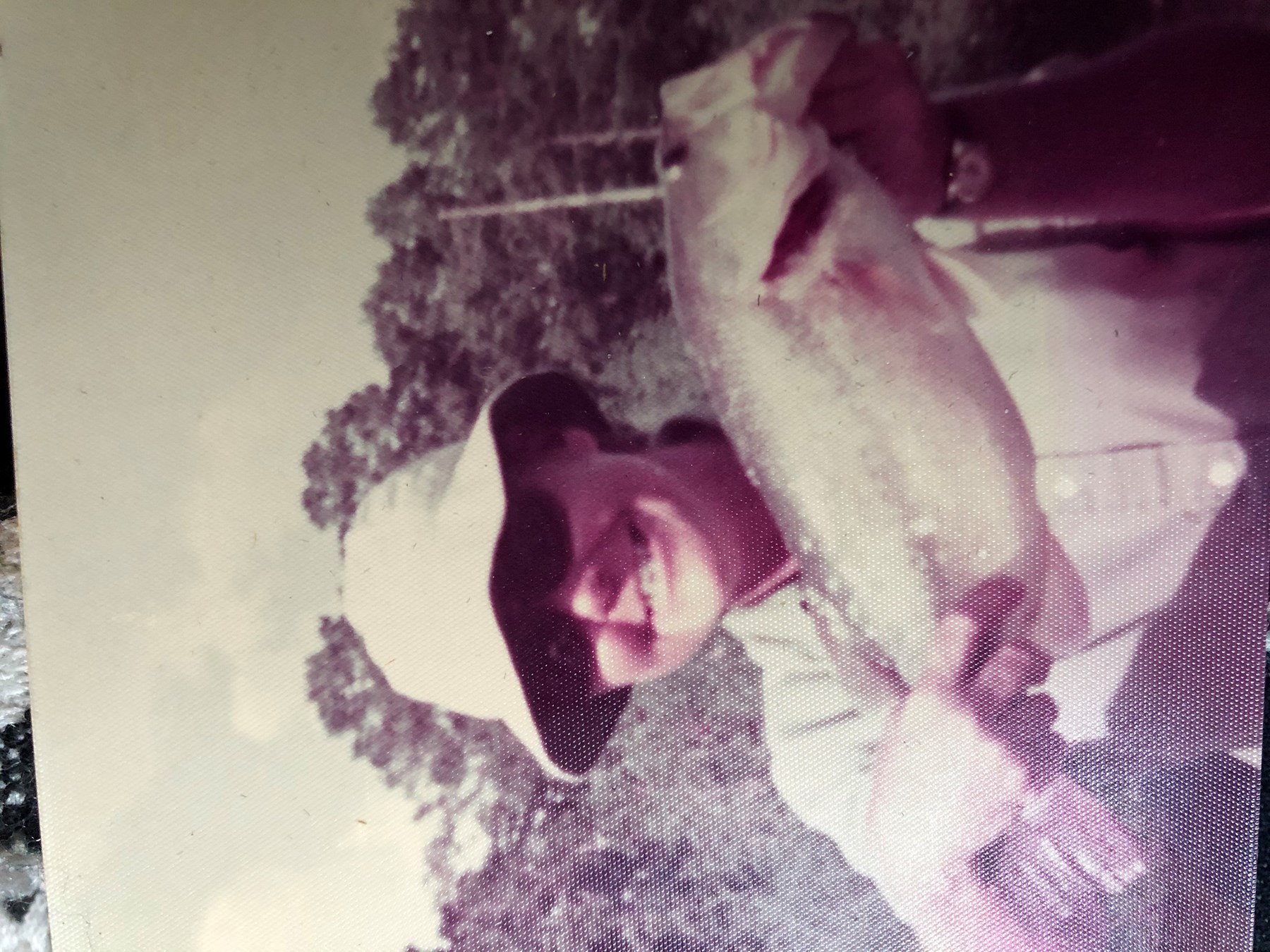 Obituary of Patricia Ann "Pat" Johnson