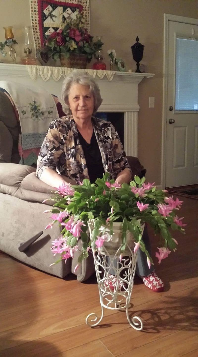 Obituary of Chloe Carter