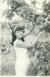 Obituary of Teresa De Jesús Ramírez Negrón