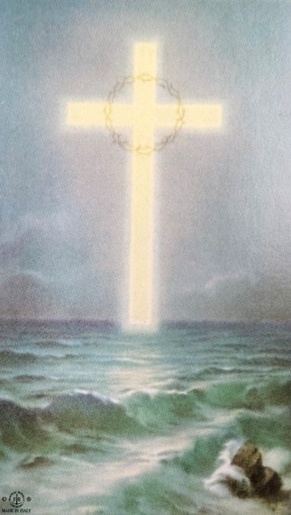 Obituary of Wayne Robert Trasente