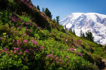 Avis de décès de Mark Andrew Pryor